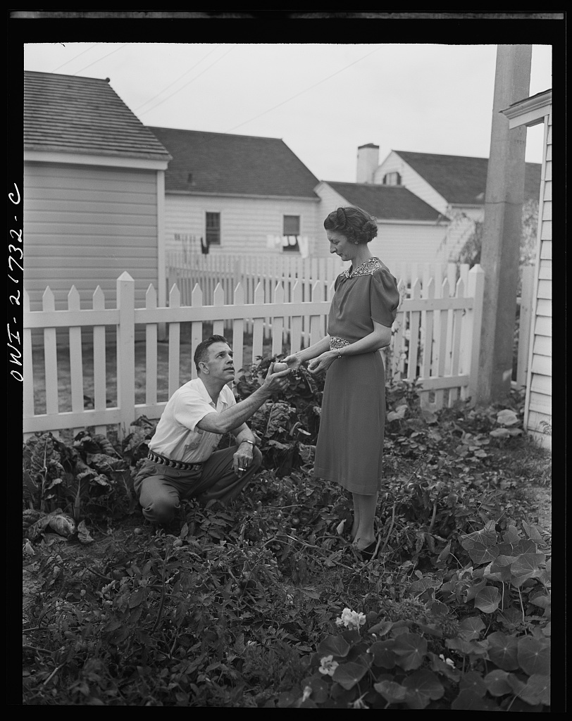 Mr. and Mrs. Babcock enjoy their garden and grow most of their own vegetables [PHOTO: Library of Congress]