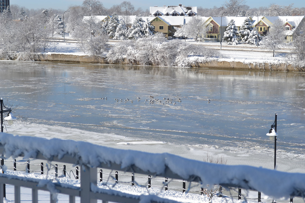 Even in the winter when the river is frozen, lots of birds and other wildlife are present. [PHOTO: RochesterSubway.com]