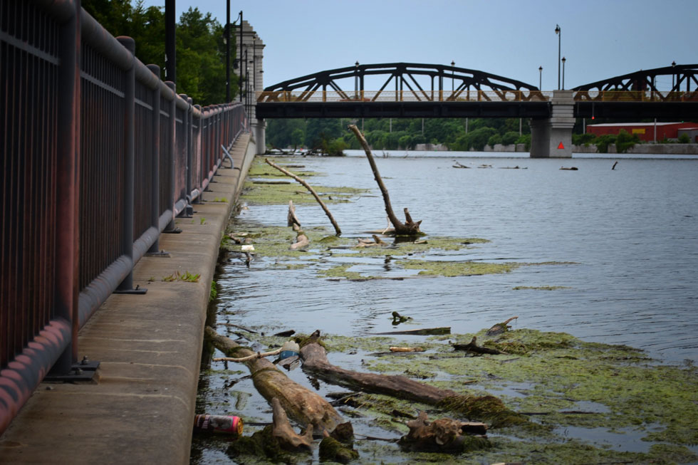 There's a steady stream of dead trees, algae, and garbage float down river. It all collects downtown. [PHOTO: RochesterSubway.com]