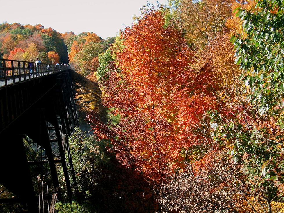Portageville rail bridge at Letchworth State Park, NY. [IMAGE: Richard H. Jordan III]