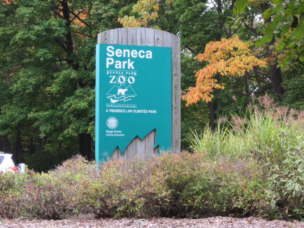 We take a left, and head into Seneca Park/Seneca Park Zoo. [PHOTO: Ryan Green]