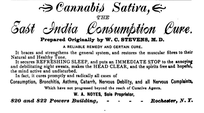 1895 ad for cannabis.