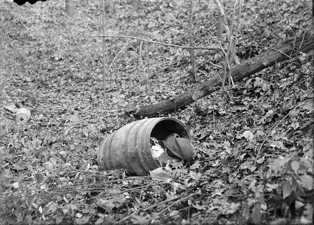 A whiskey barrel lies among the shrubs and fallen leaves in a Webster gully. This close-up photograph, showing cloth in the top of the barrel, was taken before the dismembered body of Francesco Manzello had been removed from the barrel. [PHOTO: Albert R. Stone]