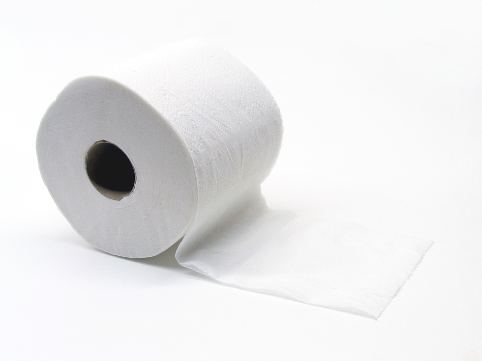 Downtown may finally get its toilet paper in 2014.