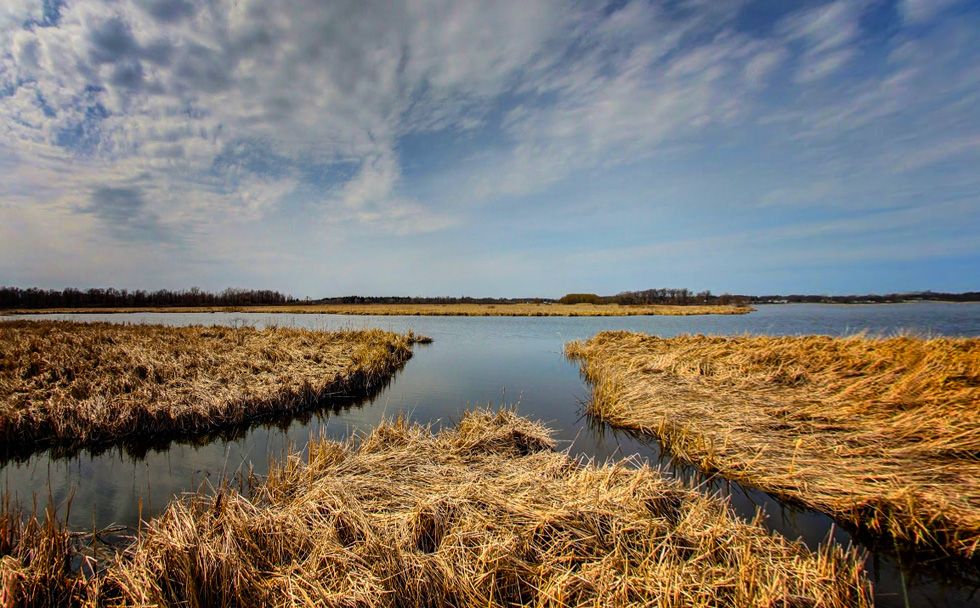 Battle for Braddock Bay