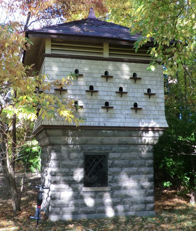 What is this Birdhouse-looking thing in Genesee Valley Park?