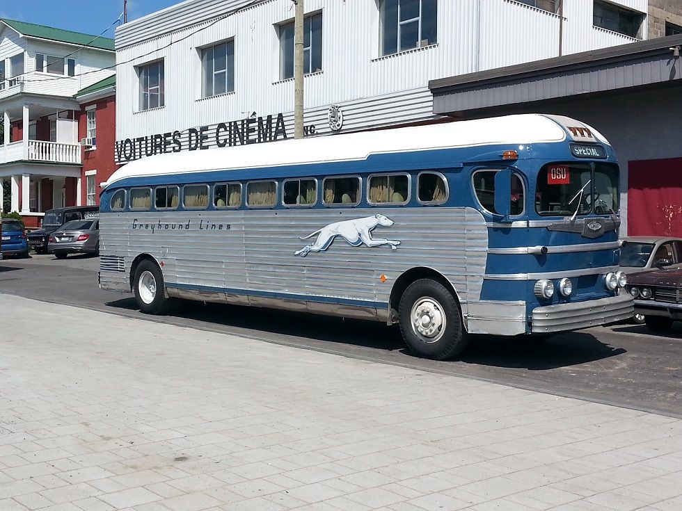 Movie Fans, Step Aboard the "Race" Bus